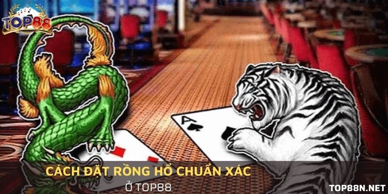 Đặt Rồng hổ sao cho chuẩn nhất