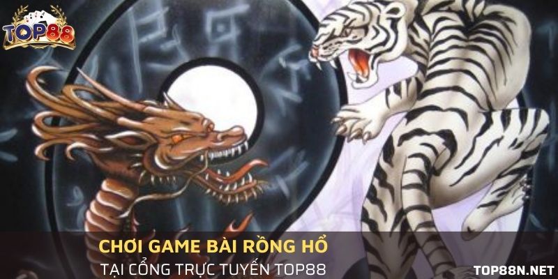 Lý do nên chơi Rồng hổ ở Top88