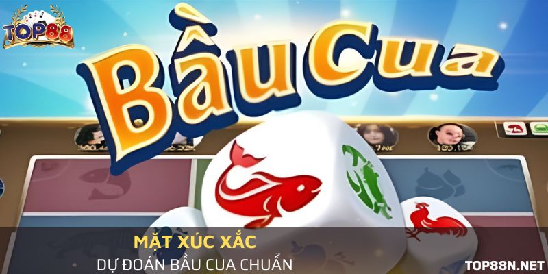 Dự đoán mặt xúc xắc khi xóc bầu cua